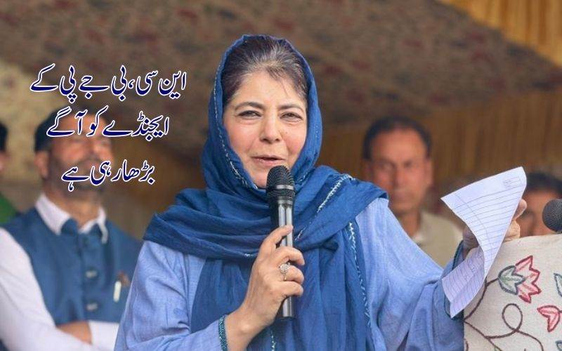  نیشنل کانفرنس قرآن کے حوالہ سے بی جے پی ایجنڈا کو آگے بڑھا رہی ہے:محبوبہ مفتی کا الزام